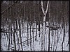 PC032553.JPG