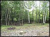 P9082280.JPG