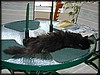 P8310002.JPG