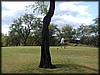 PA170094.JPG