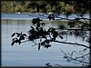 P9142943.JPG